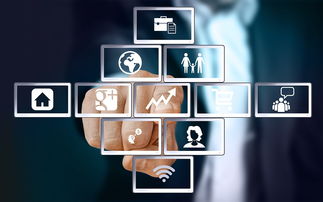 上海互聯網軟件集團 引領高端協同管理軟件與咨詢服務新紀元